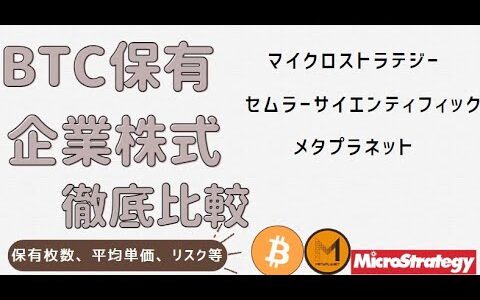 ビットコイン保有企業を徹底比較！マイクロストラテジー、メタプラネット