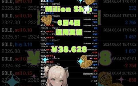【FX自動売買検証】⛴️ミリオンシップEA⛴️2024/6/4運用実績！ 金虎EA ミリオンシップEA  神の目EA  投資　初心者  爆益   安定 不労所得  仮想通貨　BTC WOLF