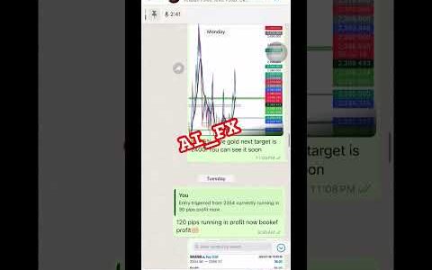 Forex Trading | Forex Signal Group | Xauusd | Gold Signal |  trading trader