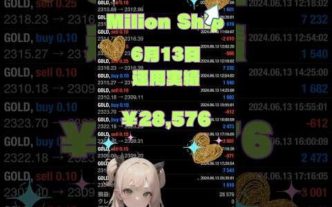 【FX自動売買検証】⛴️ミリオンシップEA⛴️2024/6/13運用実績！ 金虎EA ミリオンシップEA  神の目EA  投資　初心者  爆益   安定 不労所得  仮想通貨　BTC WOLF
