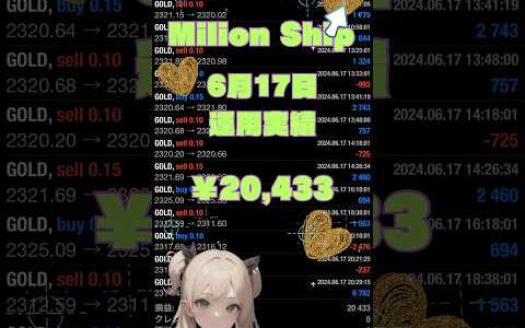 【FX自動売買検証】⛴️ミリオンシップEA⛴️2024/6/17 運用実績！ 金虎EA ミリオンシップEA  神の目EA  投資　初心者  爆益   安定 不労所得  仮想通貨　BTC WOLF