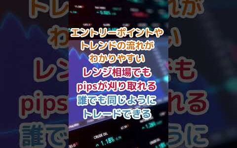 【ゴゴジャン注目商品ピックアップ】43978:FX Premium