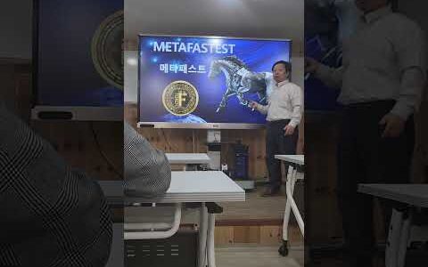 메타패스트(Metafastest) P2E 마주게임  NFT(Non-Fungible Token)를 통해 진정한 디지털 소유와 수익 창출의 기회를 제공 (( 사업설명 ))