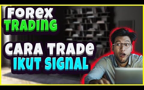 Forex trading | Sehari Profit 1300usd Follow Signal saja. Signal untuk orang yang nk konsisten