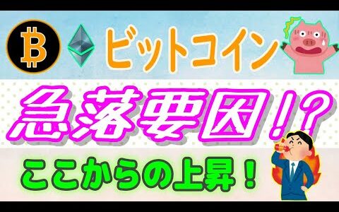 【 ビットコイン（BTC）】急落要因はコレ！【仮想通貨】最新イーサリアムETFとビットコインETF