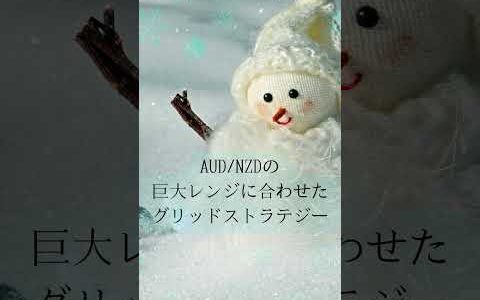 QQQ SNOW　