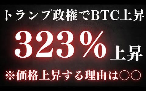【速報】トランプ政権下でビットコインが米国の戦略的資産に？専門家の見解を徹底解説！