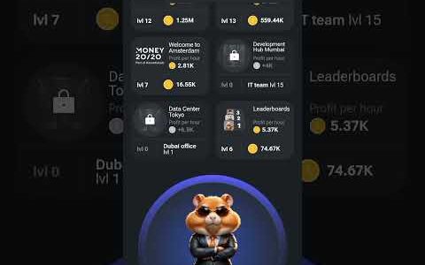 how to earn money from hamster kombat   currency