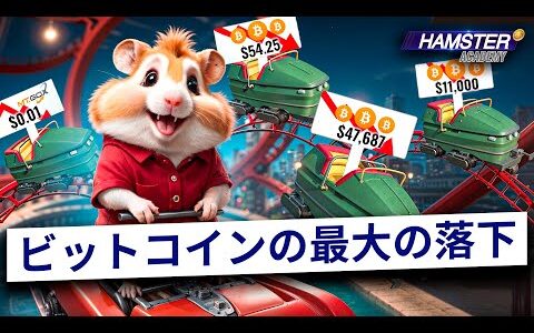 2013年の暴落 l ビットコインの最悪の暴落
