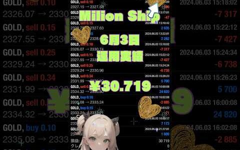 【FX自動売買検証】⛴️ミリオンシップEA⛴️2024/6/3運用実績！ 金虎EA ミリオンシップEA  神の目EA  投資　初心者  爆益   安定 不労所得  仮想通貨　BTC WOLF