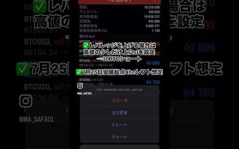【BTC】トレードはレバレッジとSL