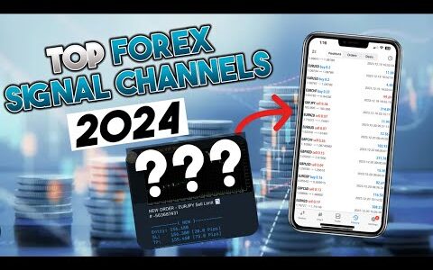 TOP 5 Profitable Forex Signal Channels of 2024 (Reviewed) | The CopyTrader