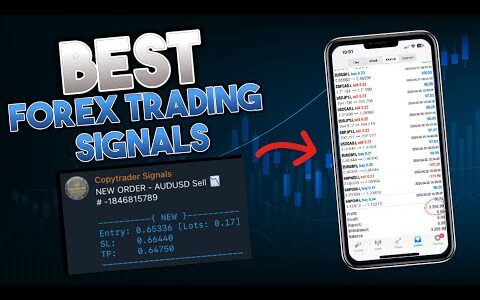 The BEST Forex Signal Channel I& Tested ( $2,200 April) | With Payout