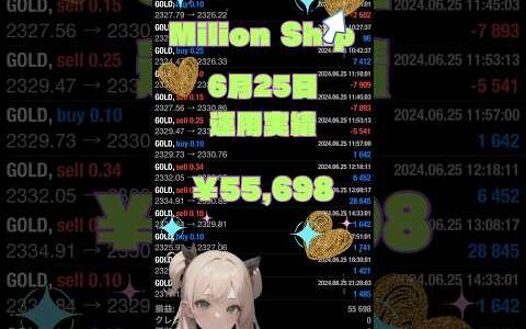 【FX自動売買検証】⛴️ミリオンシップEA⛴️2024/6/25運用実績！ 金虎EA ミリオンシップEA  神の目EA  金獅子EA   投資　不労所得  仮想通貨　BTC WOLF