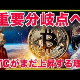 【BTC SOL分析】ハイテク株AIが売られビットコインが上昇する理由と高まるリスクについて共有