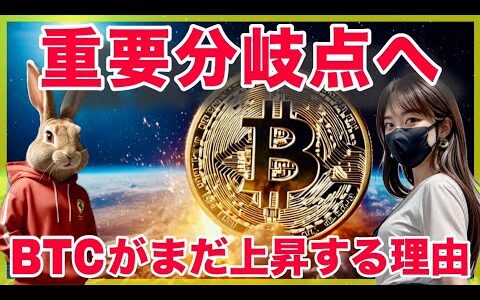 【BTC SOL分析】ハイテク株AIが売られビットコインが上昇する理由と高まるリスクについて共有