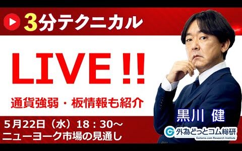 見通しズバリ！3分テクニカル分析「ライブ‼」 ニューヨーク市場の見通し　2024年5月22日