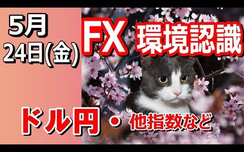 【TAKA FX】ドル円他各通貨の環境認識解説。各種指数、GOLDなど　5月24日(金)