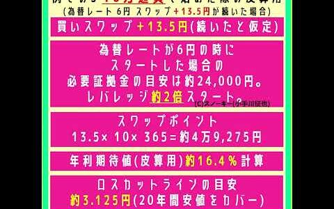 FX 資金30万円 チェココルナ円 スワップポイント投資設定例 利回り期待値 強制ロスカットライン