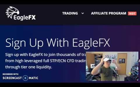 Eagle FX Broker deposits & withdrawals Testing Broker 2020