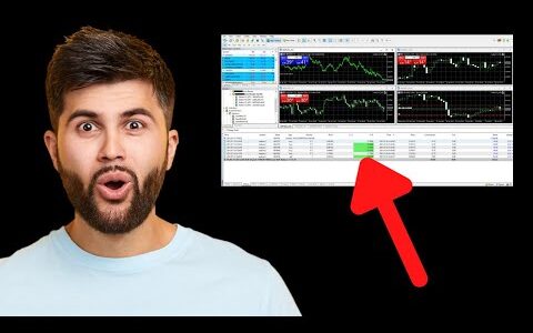 How Galileo FX works... Simply Explained