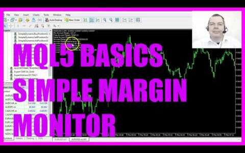 LEARN MQL5 TUTORIAL BASICS - 62 SIMPLE MARGIN MONITOR