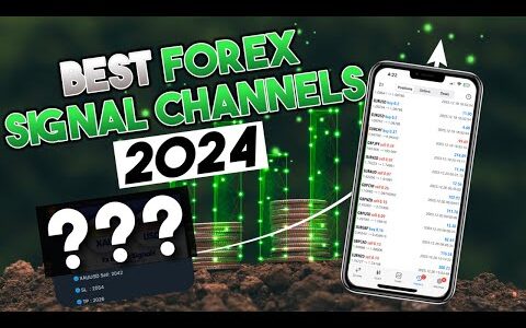 Testing the BEST Forex Signal Channels of 2024 | The CopyTrader