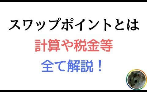 【スワップポイントとは】計算や税金、マイナスになる？等全て解説！