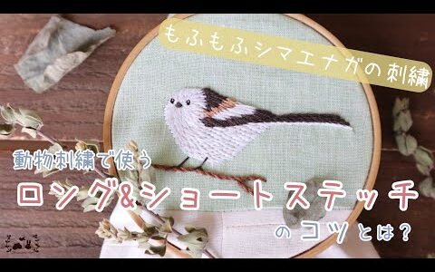 動物刺繍で使うロング&ショートステッチのコツを解説しながら刺す シマエナガの刺繍｜Long-tailed Tit embroidery｜【動物刺しゅうの壁飾り】#7