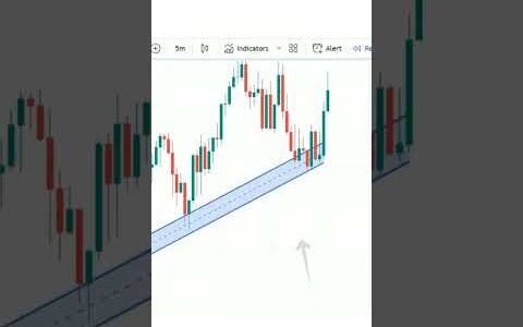 How to Trade with Trend Line Pro