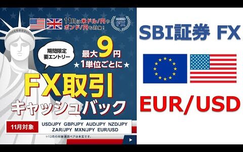 FXキャンペーン対象通貨ペア （ユーロ/米ドル）