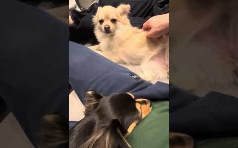 ベストポジション