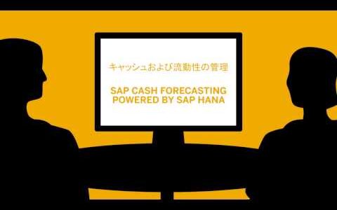 最新のSAP Treasury and Risk Managementソリューションのご案内