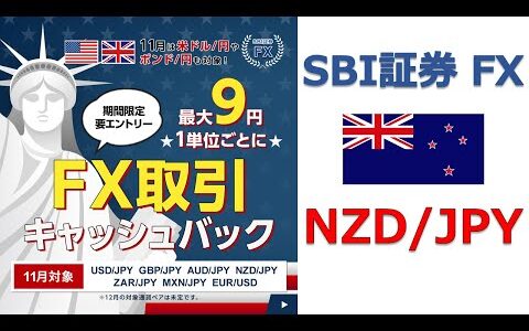 FXキャンペーン対象通貨ペア （NZドル/円）