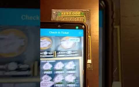 California Lottery $250,000 Payout All Cash Prizes カリフォルニア ロト ペイアウト オール キャシュ プライズ